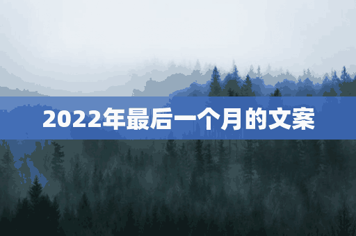 2022年最后一个月的文案(2022年最后一个月的文案怎么写)